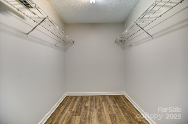 spacious closet featuring hardwood / wood-style floors