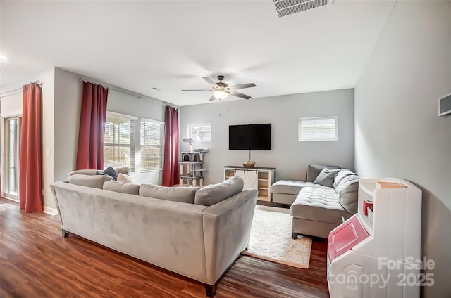 living room featuring a wealth of natural light, dark hardwood / wood-style floors, and ceiling fan