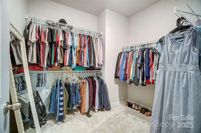 walk in closet featuring carpet