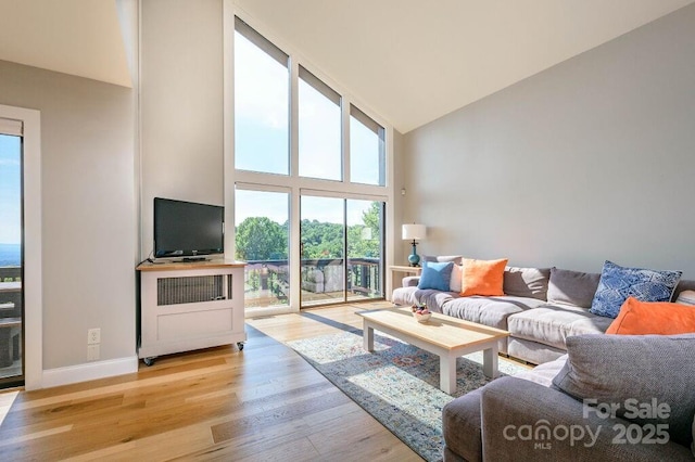 living room with light hardwood / wood-style floors and high vaulted ceiling