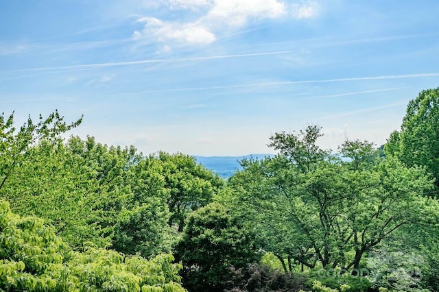 view of landscape