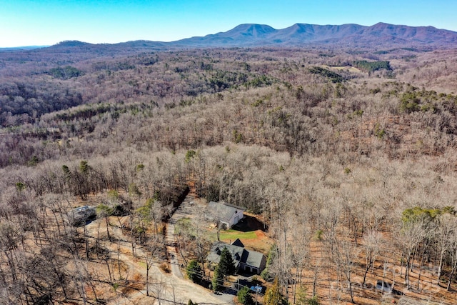 aerial view with a mountain view