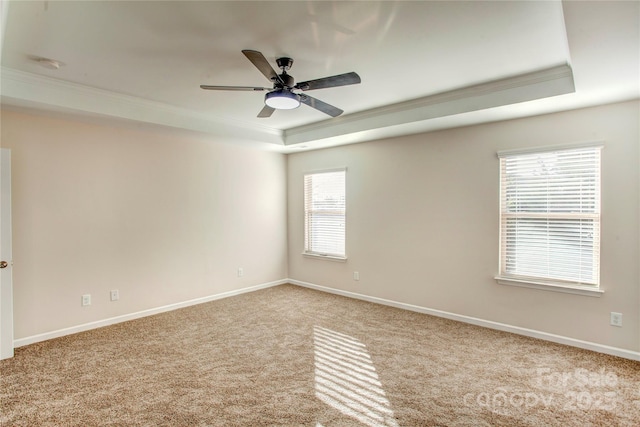 spare room with light colored carpet, a wealth of natural light, and a tray ceiling