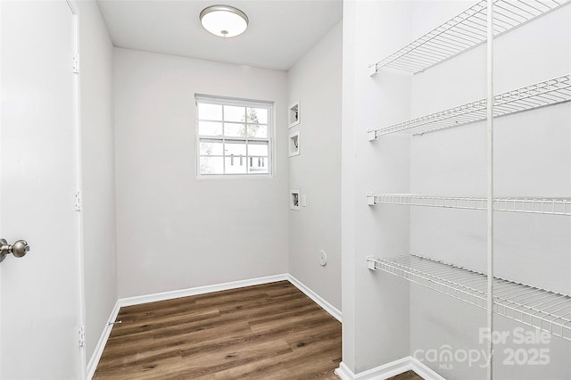 spacious closet with wood-type flooring