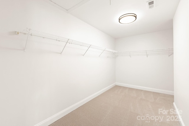 spacious closet with light colored carpet