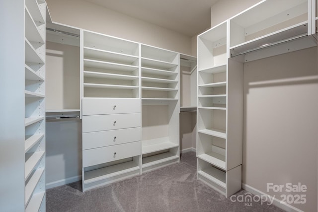 spacious closet with carpet