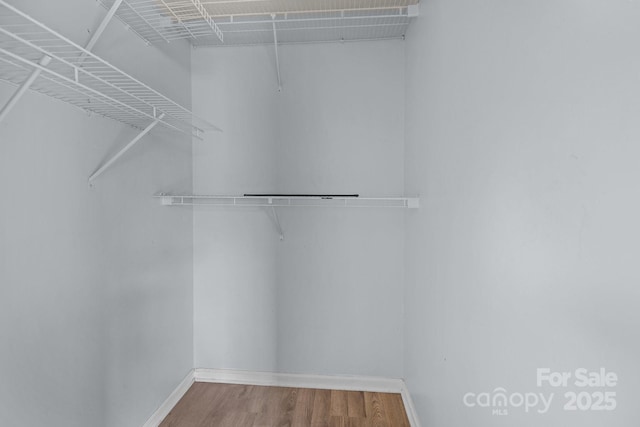 spacious closet featuring hardwood / wood-style floors