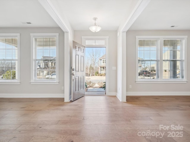 entryway featuring light hardwood / wood-style flooring and plenty of natural light