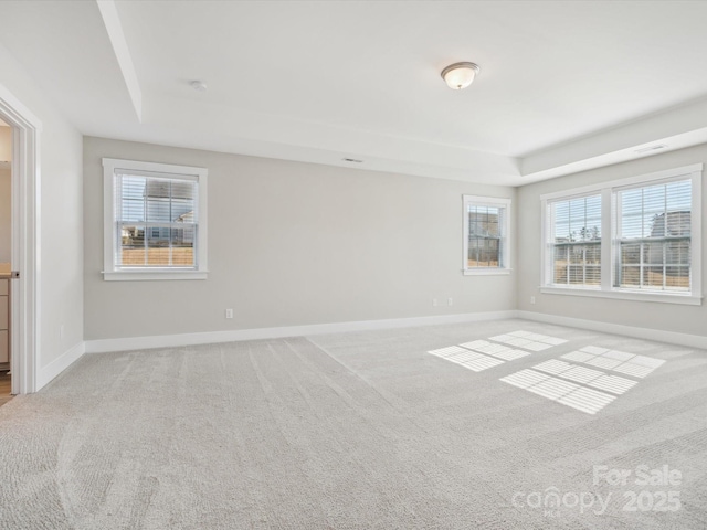 carpeted empty room featuring a tray ceiling and a wealth of natural light