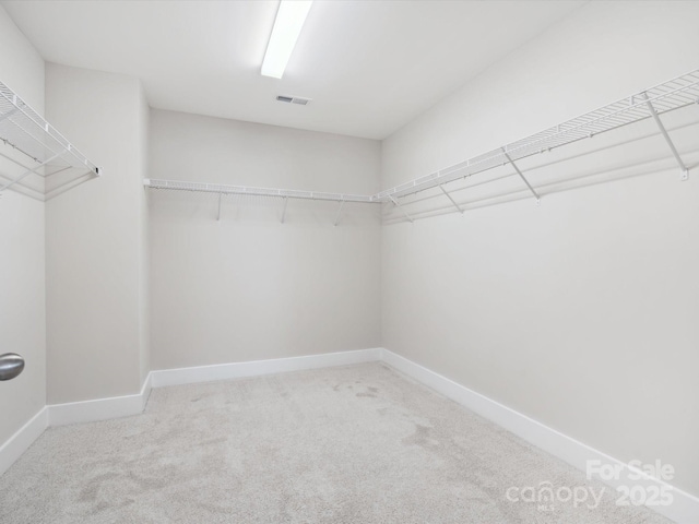 spacious closet featuring carpet floors