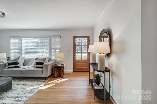 living room featuring light hardwood / wood-style flooring