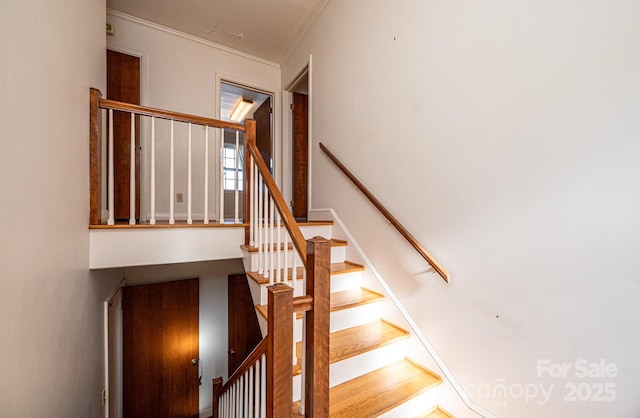 stairway featuring ornamental molding