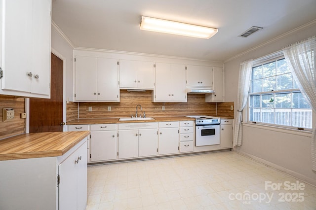 kitchen with stove, tasteful backsplash, white cabinetry, and sink