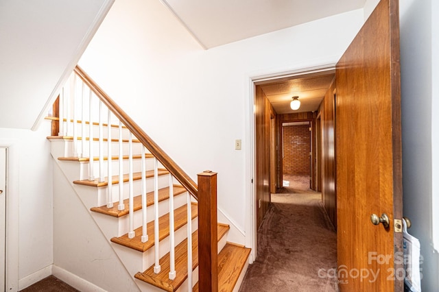 staircase featuring wooden walls and carpet floors