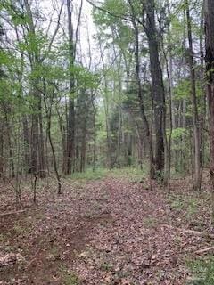 8.21ACRES Marshall Rd, Rock Hill, SC 29730 - photo 1