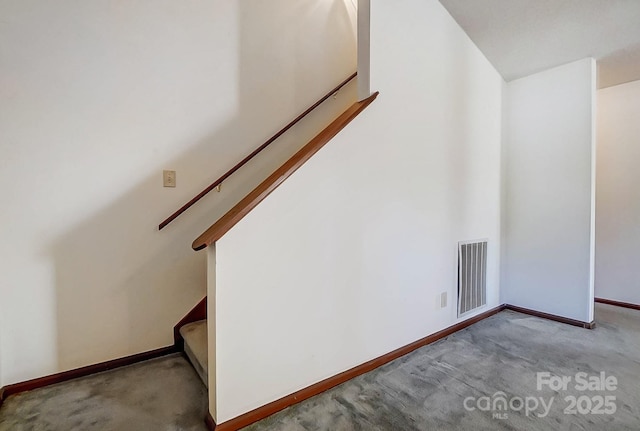 stairs featuring carpet floors