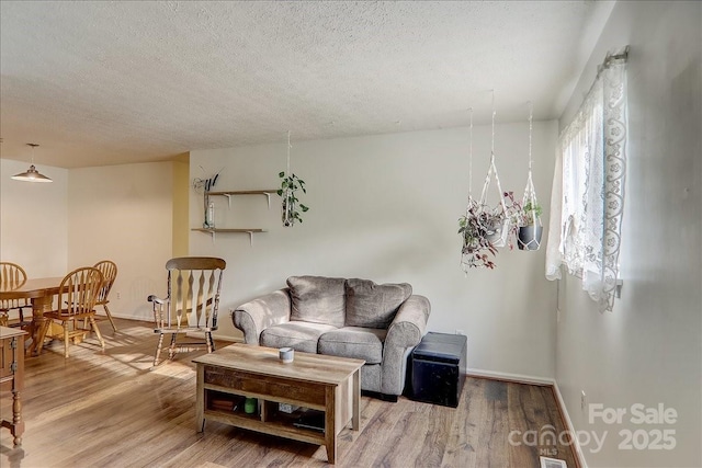 living room featuring wood-type flooring and a textured ceiling