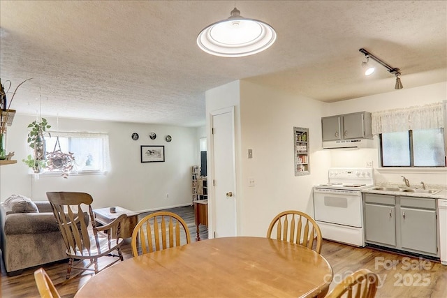 dining area featuring a textured ceiling, rail lighting, light hardwood / wood-style floors, and sink