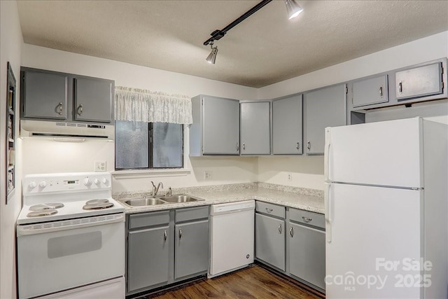 kitchen featuring track lighting, a textured ceiling, white appliances, sink, and dark hardwood / wood-style floors