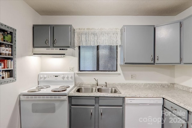 kitchen featuring gray cabinetry, a textured ceiling, white appliances, sink, and range hood