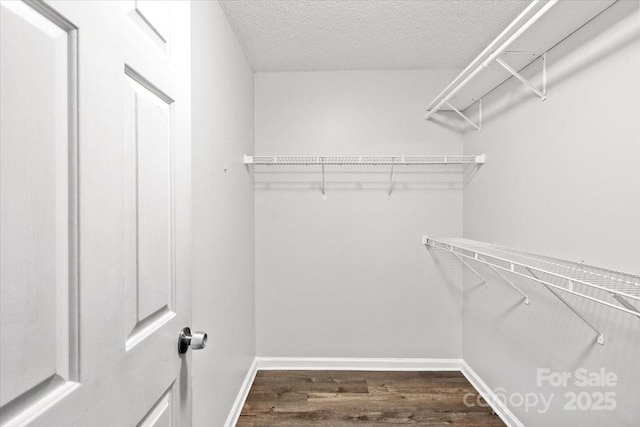 walk in closet with wood-type flooring