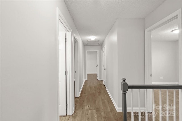 hallway with a textured ceiling and light wood-type flooring