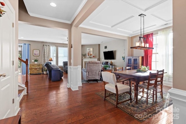 dining space with dark wood-type flooring, a wealth of natural light, crown molding, and ceiling fan