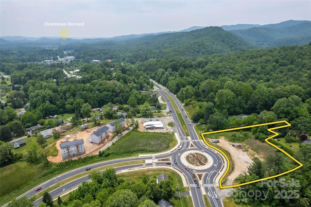 TBD Asheville Hwy, Brevard, NC 28712 - photo 4