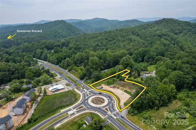 TBD Asheville Hwy, Brevard, NC 28712 - photo 5