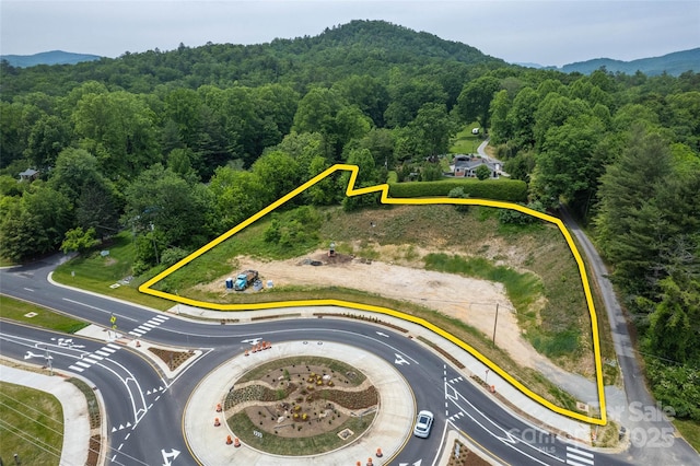 TBD Asheville Hwy, Brevard, NC 28712 - photo 7