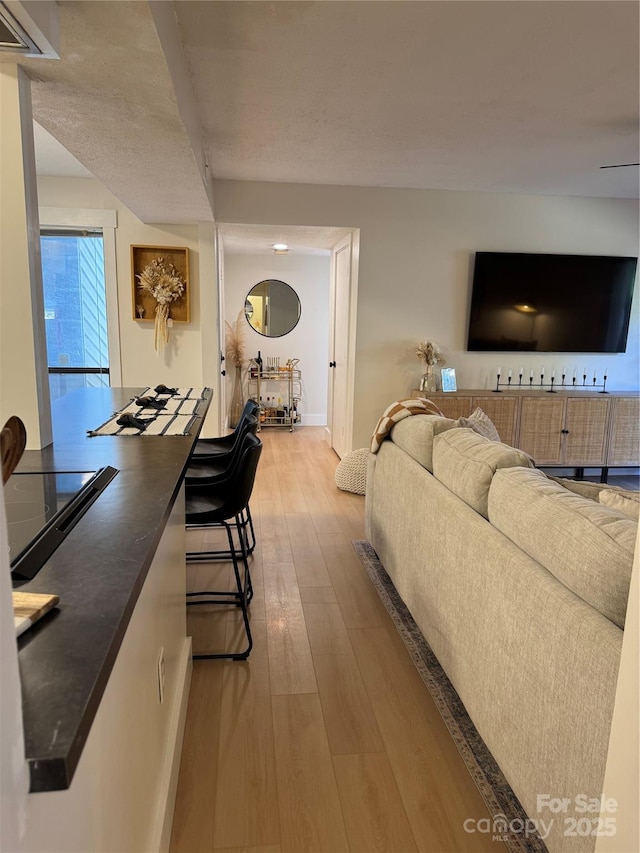 living room featuring wood-type flooring