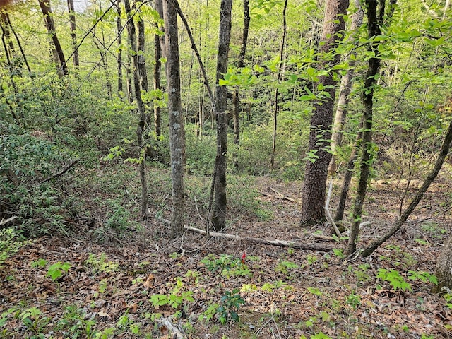 0 Huntington Rd Unit 54, Lake Lure, NC 28746