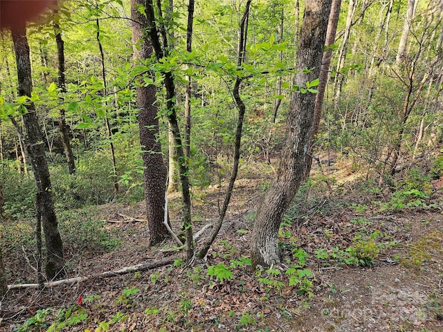 0 Huntington Rd Unit 54, Lake Lure, NC 28746
