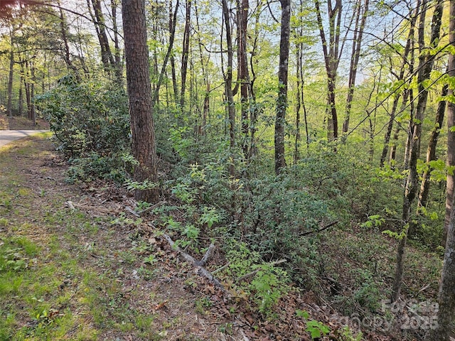 0 Huntington Rd Unit 54, Lake Lure, NC 28746