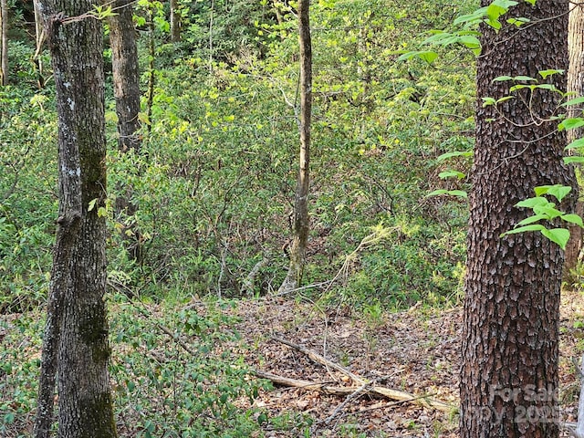0 Huntington Rd Unit 54, Lake Lure, NC 28746