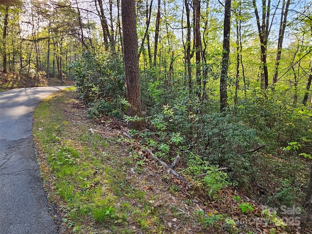 0 Huntington Rd Unit 54, Lake Lure, NC 28746