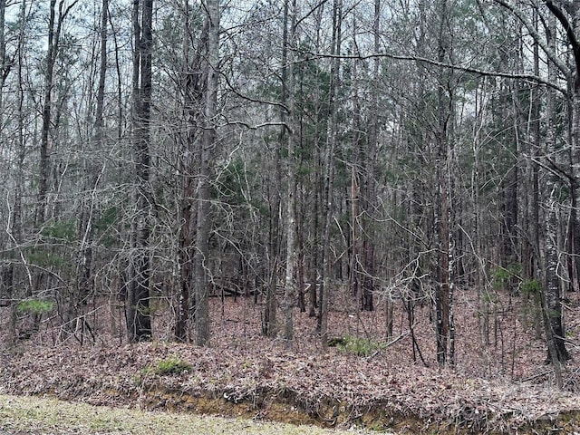 00 Starcliff Cir, Lancaster, SC 29720 - photo 2