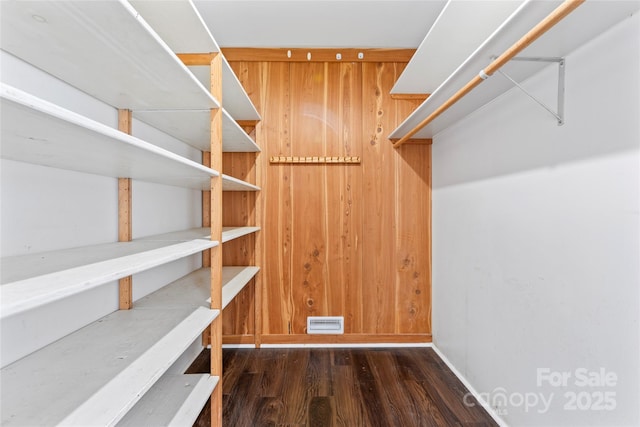 walk in closet featuring dark hardwood / wood-style floors