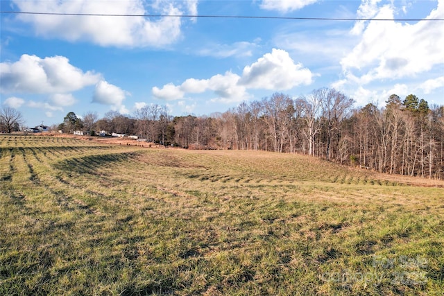 view of yard with a rural view