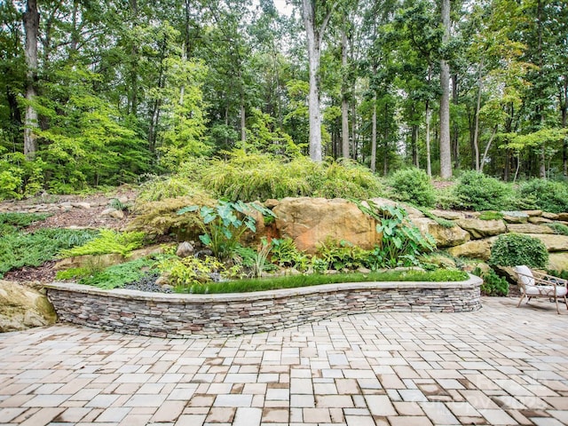 view of yard featuring a patio