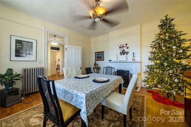 dining space featuring hardwood / wood-style flooring, radiator, and ceiling fan