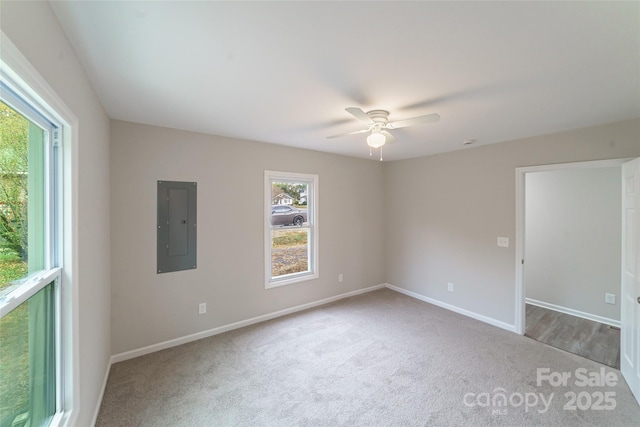 empty room featuring electric panel, ceiling fan, and carpet floors