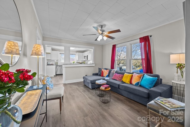 living room with ceiling fan, crown molding, and hardwood / wood-style floors