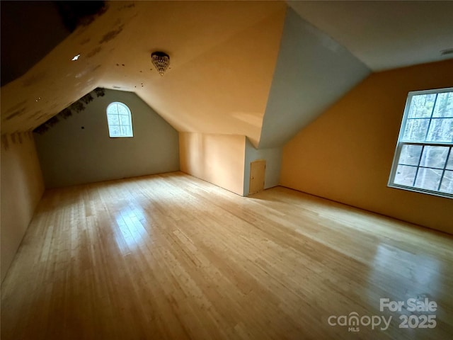 bonus room featuring light hardwood / wood-style floors and vaulted ceiling