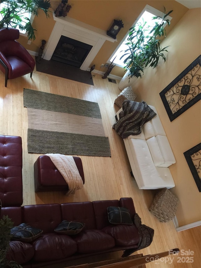 living room featuring hardwood / wood-style flooring