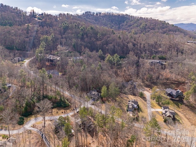 drone / aerial view with a mountain view