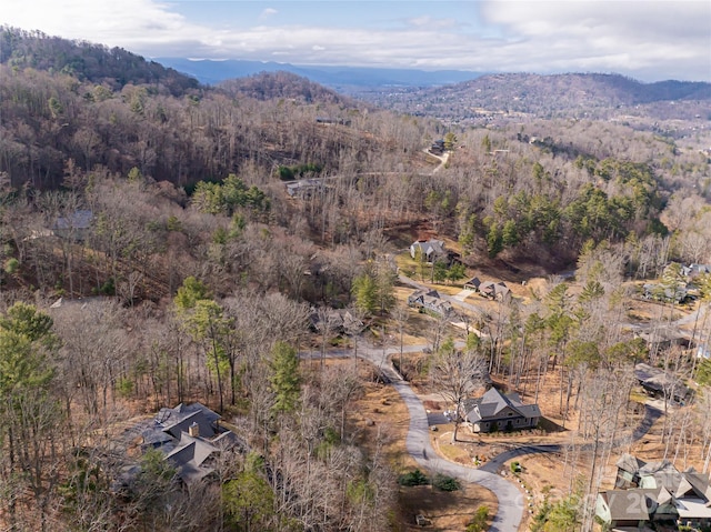 birds eye view of property with a mountain view