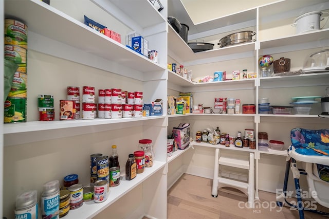 view of pantry