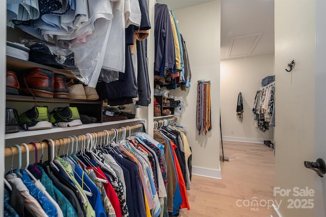 spacious closet with light hardwood / wood-style floors