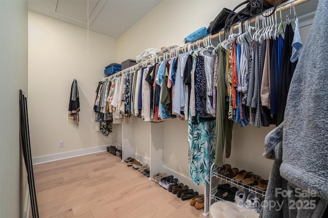 walk in closet featuring wood-type flooring